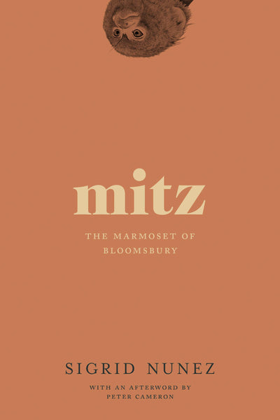 Mitz: The Marmoset of Bloomsbury by Sigrid Nunez