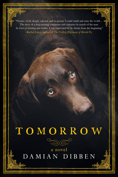 Tomorrow: A Novel by Damian Dibben