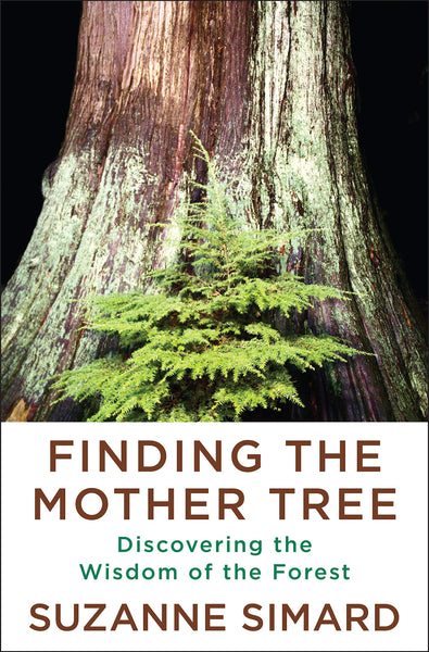 Finding the Mother Tree by Suzanne Simard