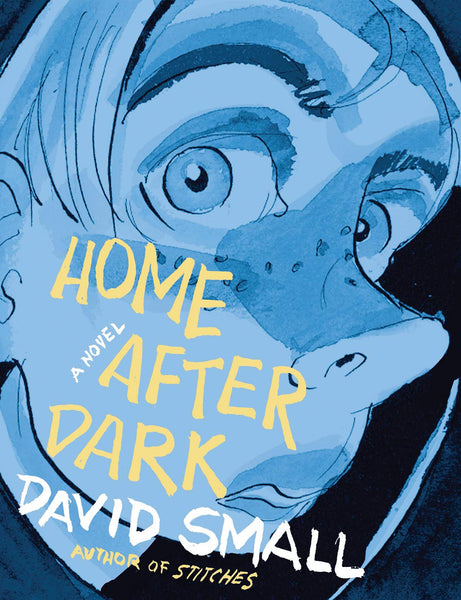 Home After Dark: A Novel by David Small