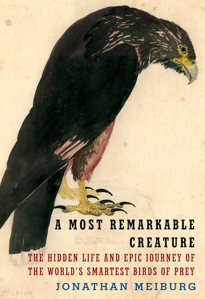A Most Remarkable Creature: The Hidden Life and Epic Journey of the World's Smartest Birds of Prey, by Jonathan Meiburg